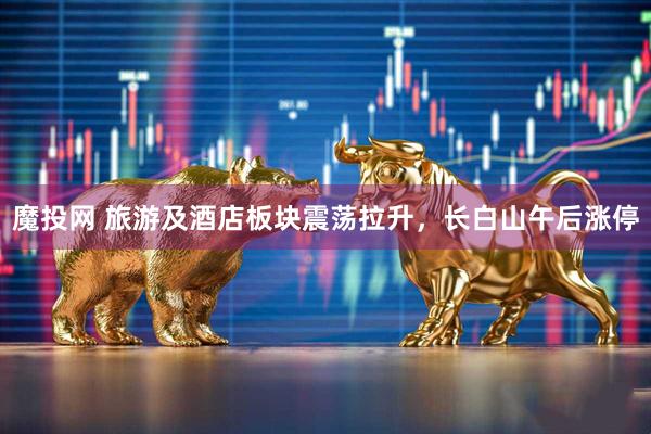 魔投网 旅游及酒店板块震荡拉升，长白山午后涨停