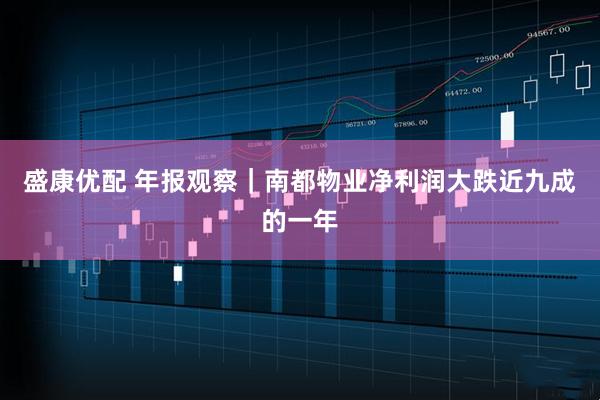 盛康优配 年报观察｜南都物业净利润大跌近九成的一年