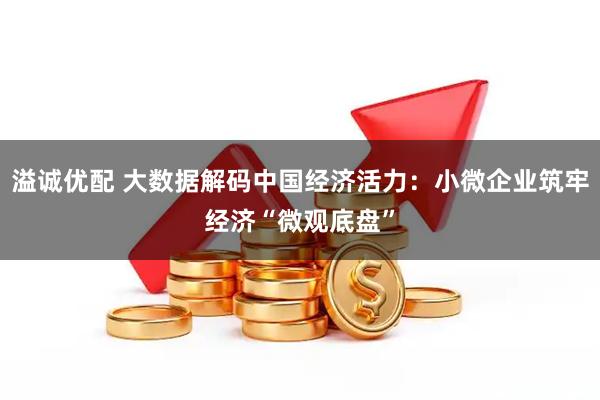 溢诚优配 大数据解码中国经济活力：小微企业筑牢经济“微观底盘”