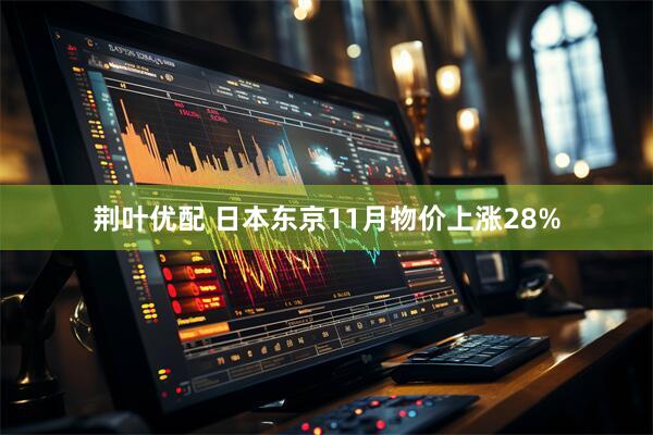荆叶优配 日本东京11月物价上涨28%