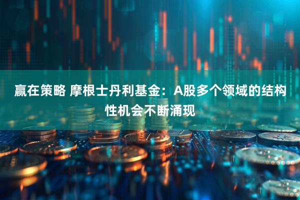 赢在策略 摩根士丹利基金：A股多个领域的结构性机会不断涌现