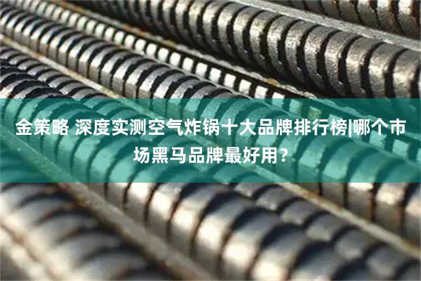 金策略 深度实测空气炸锅十大品牌排行榜|哪个市场黑马品牌最好用？