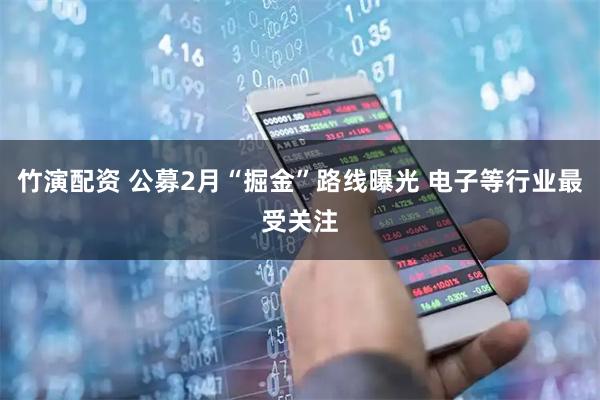 竹演配资 公募2月“掘金”路线曝光 电子等行业最受关注