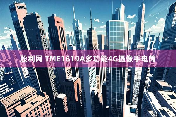股利网 TME1619A多功能4G摄像手电筒